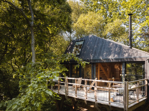 Starling treehouse